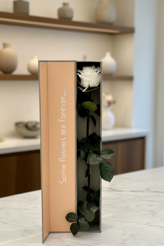 Eine Einzelne Infinity Rose mit Stiel