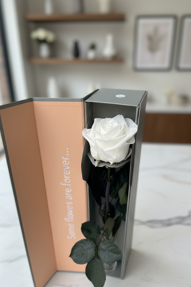 Eine Einzelne Infinity Rose mit Stiel